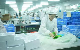 他白手起家 诚信经营,要把中国之美传递给世界